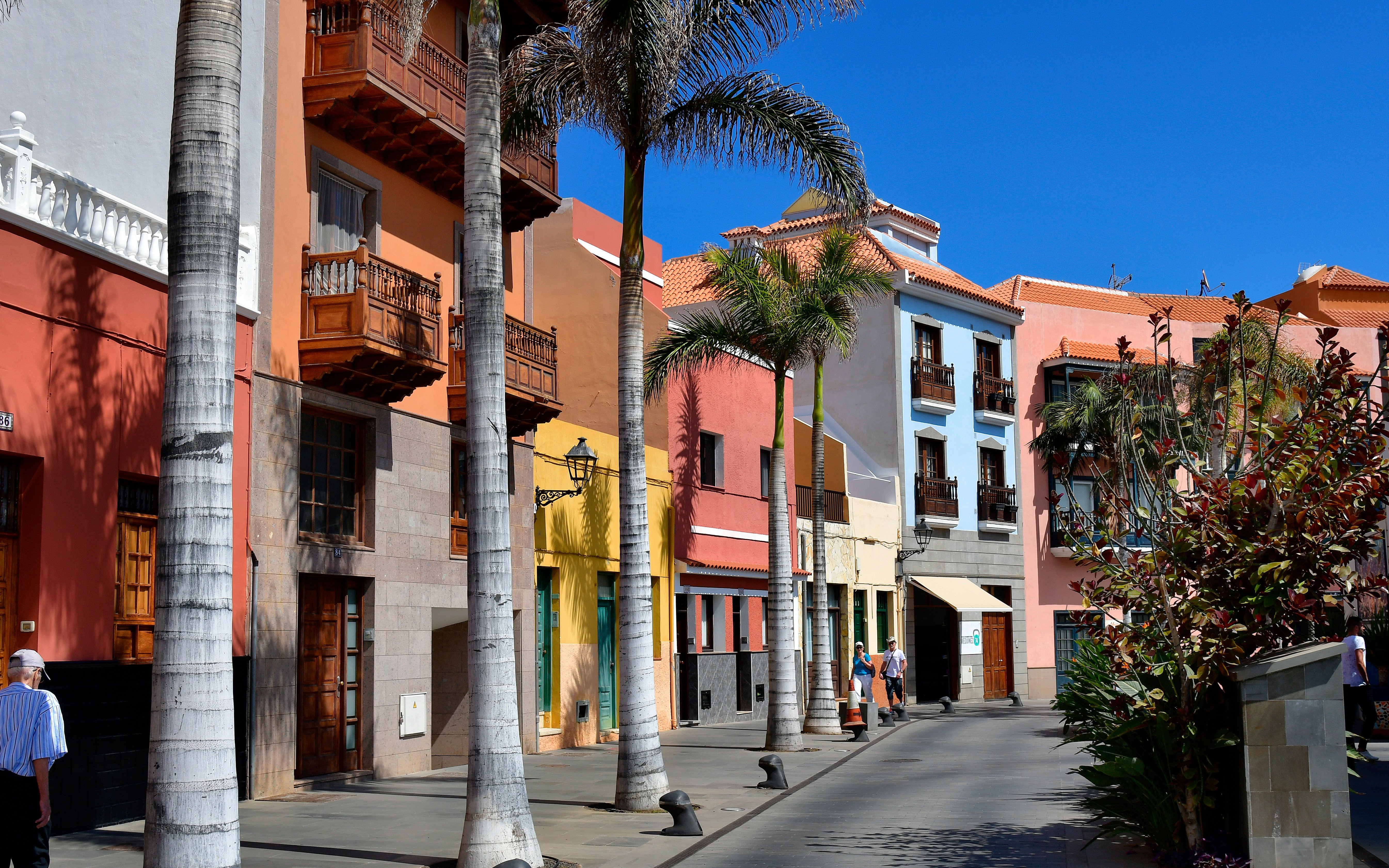 Colorful buildings and palm trees in Puerto de la Cruz, Tenerife, Canary Islands, Spain.