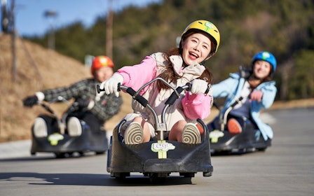 Skyline Luge Busan Tickets with Skyride Access
