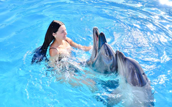 Tourist interacting with dolphins during Private Dolphin Swim Adventure.