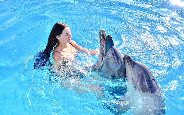 Private Dolphin Swim Adventure at Hurghada Dolphin World