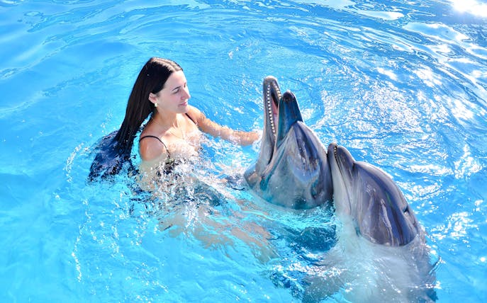 Tourist interacting with dolphins during Private Dolphin Swim Adventure.