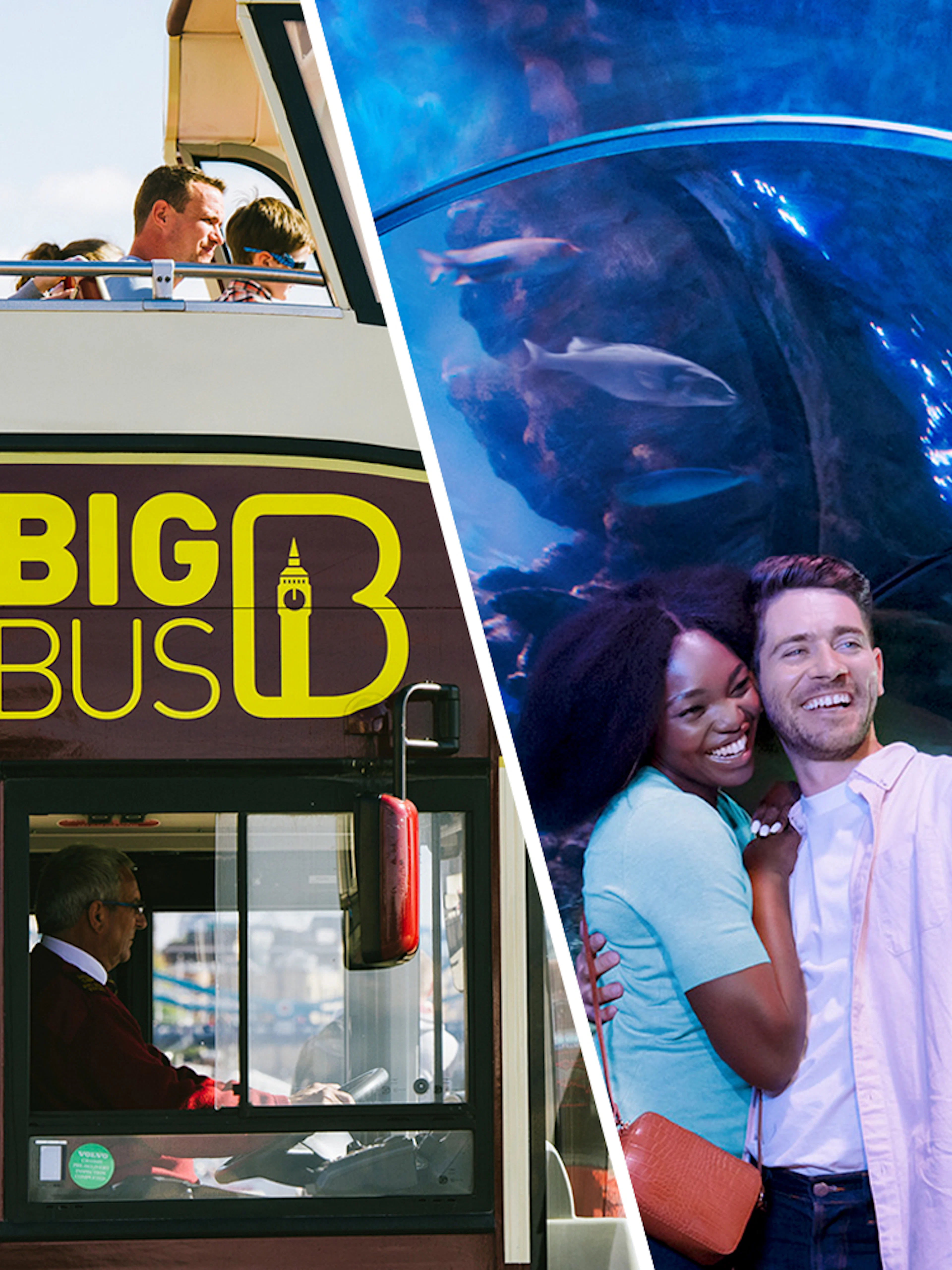 Big Bus London tour and couple taking selfie at Sea Life Aquarium.