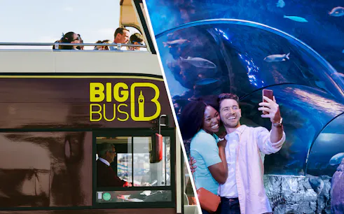Big Bus London tour and couple taking selfie at Sea Life Aquarium.