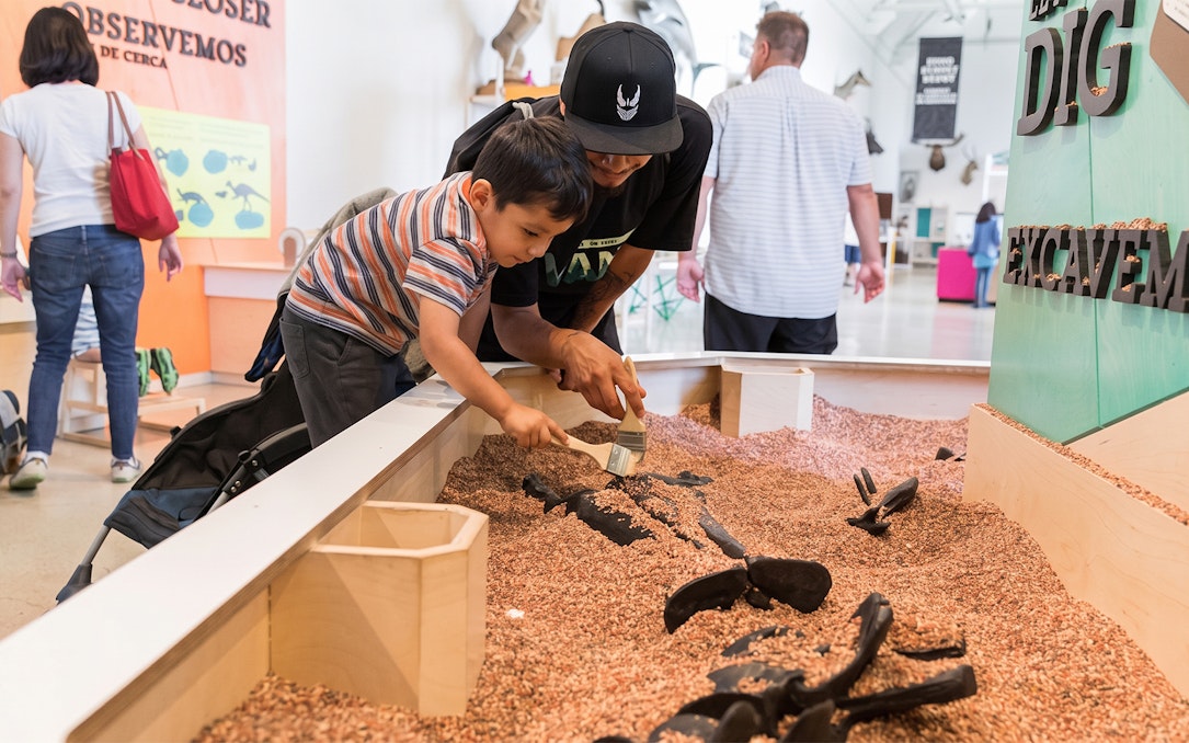 ingressos para o museu de história natural do condado de los angeles-1