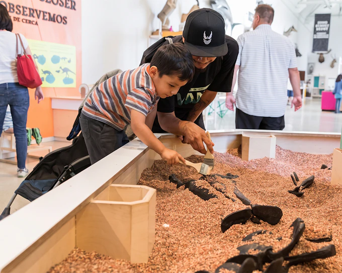 Natural History Museum of Los Angeles County Tickets