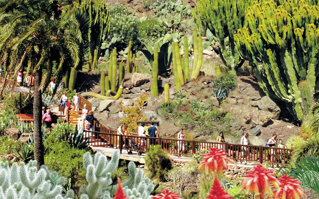 Visitors walking through cactus garden at Palmitos Park, Gran Canaria.