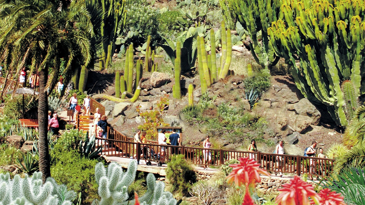 Visitors walking through cactus garden at Palmitos Park, Gran Canaria.