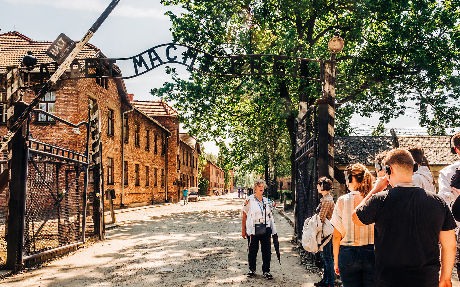 Guided Tour of Auschwitz-Birkenau with Evening Walking Tour of Krakow Old Town