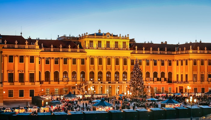 Schönbrunn Palace: Christmas Market, Palace Tour & Concert