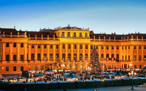 Schönbrunn Palace Christmas market with festive lights and decorated tree in Vienna.