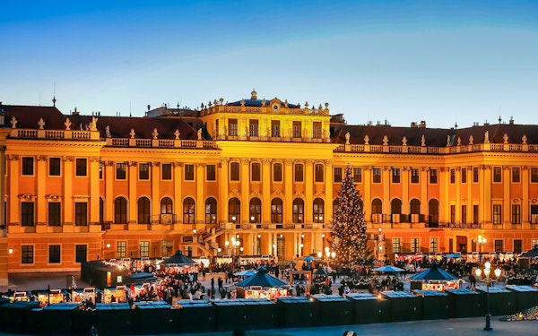 Schönbrunn Palace: Christmas Market, Palace Tour & Concert