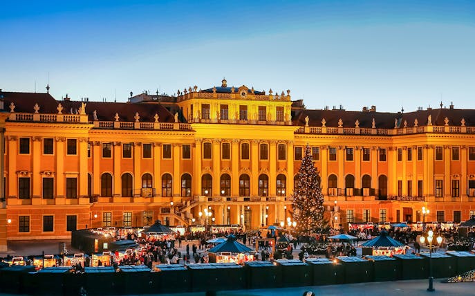 Schönbrunn Palace Christmas market with festive lights and decorated tree in Vienna.