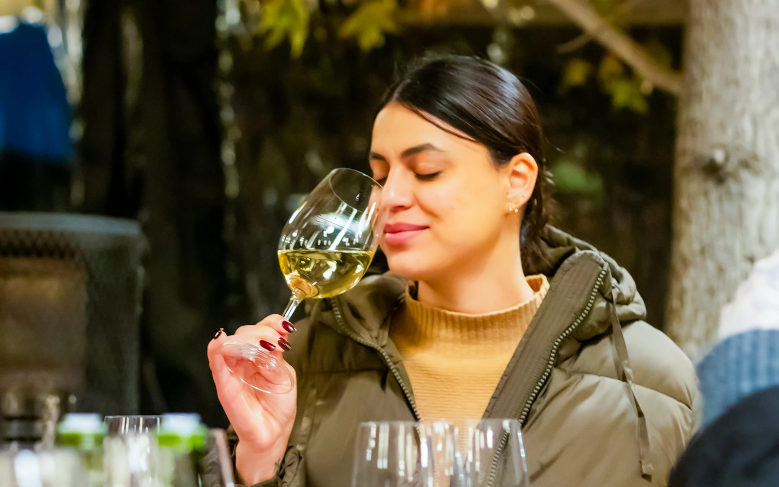 Santiago: Concha y Toro Winery Tour with Casillero del Diablo Experience and Four-Wine Tasting (Product 56301)