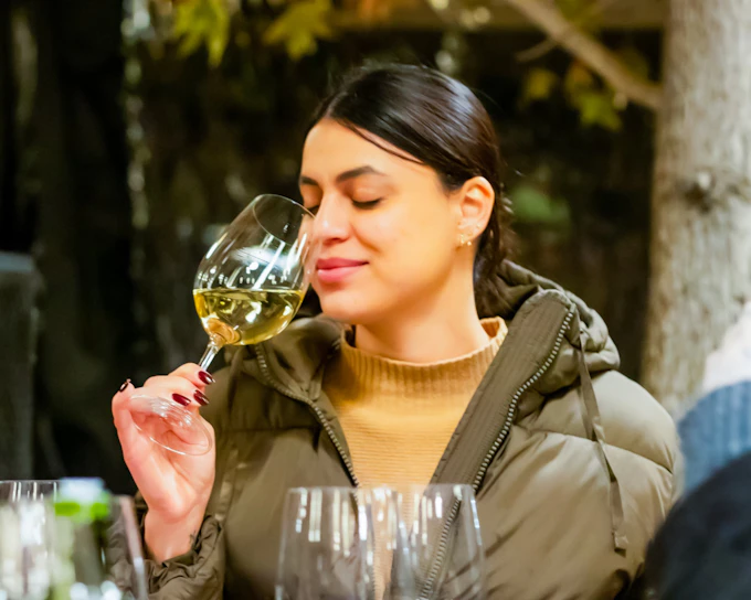 Santiago: Concha y Toro Winery Tour with Casillero del Diablo Experience and Four-Wine Tasting (Product 56301)