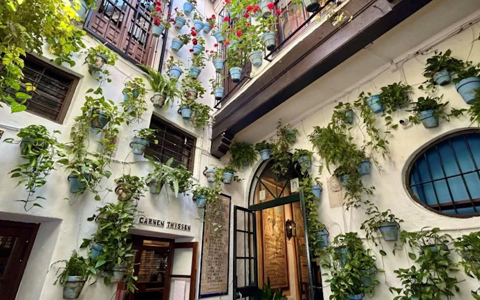Vertical garden with blue pots on a white wall at Carmen Thyssen Museum, Málaga.