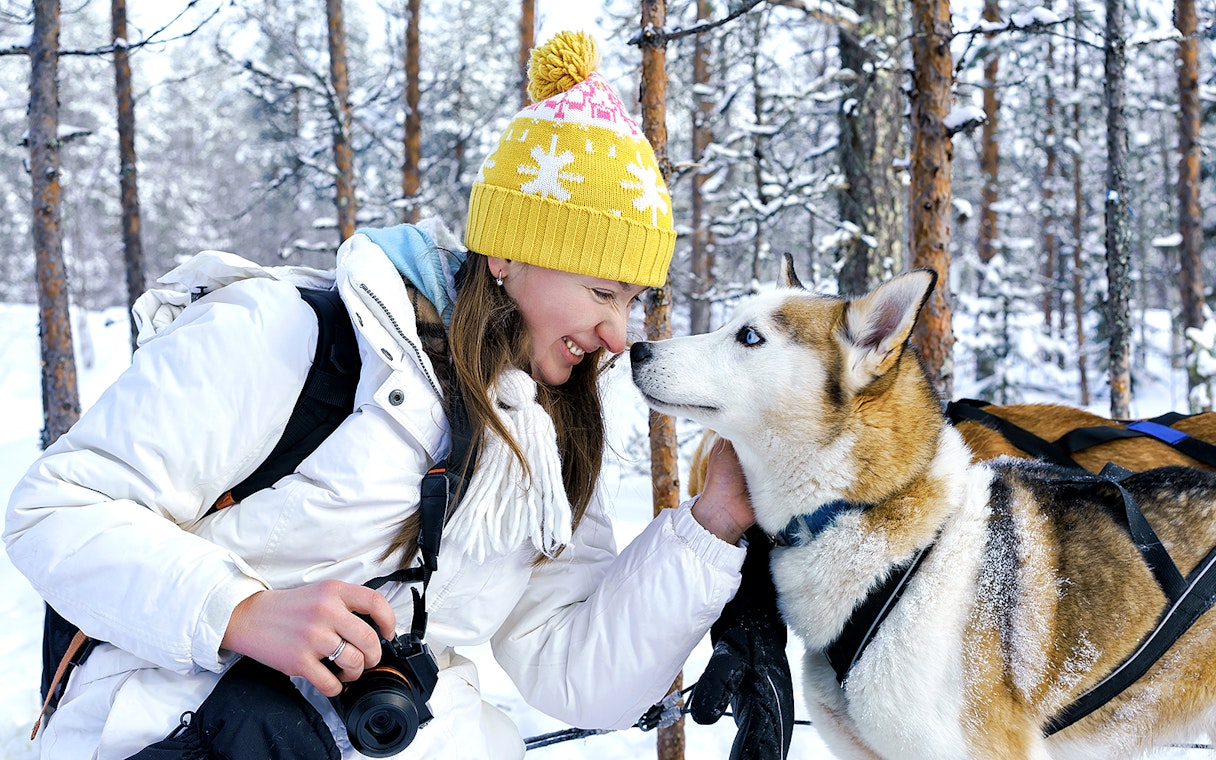 Woman interacting with a husky in snowy Rovaniemi forest during sledding experience.
