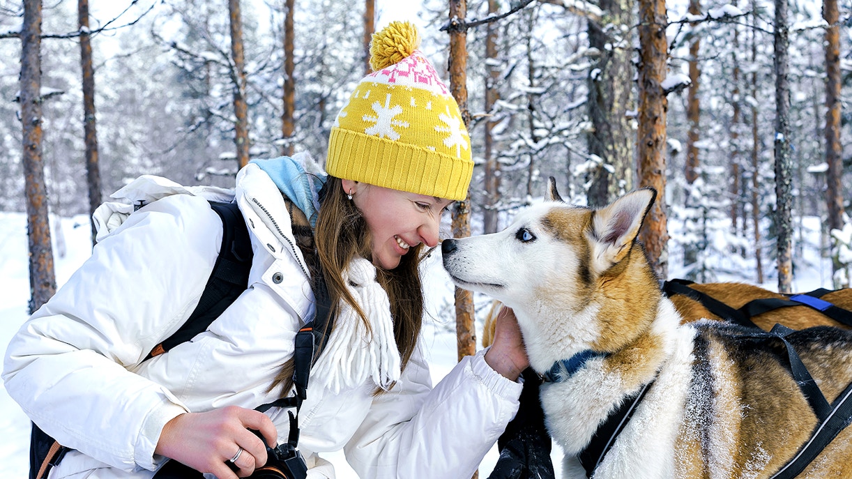 Woman interacting with a husky in snowy Rovaniemi forest during sledding experience.