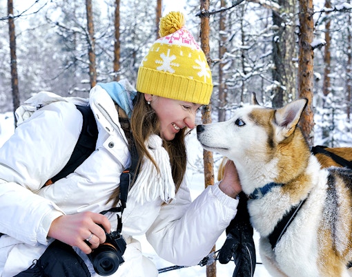 Guests petting husky during husky sledding experience
