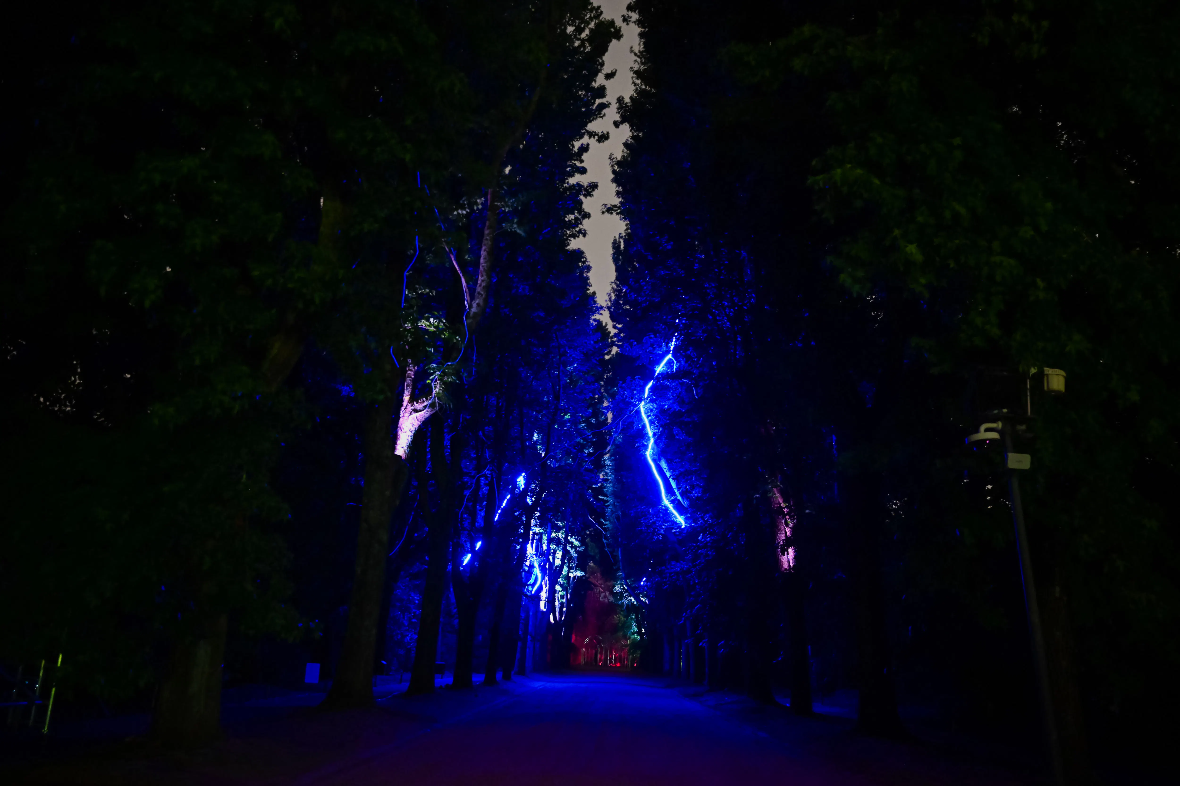 billetter til «serralves in light 2026»-17