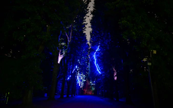 „serralves in light 2026“ – tickets-17