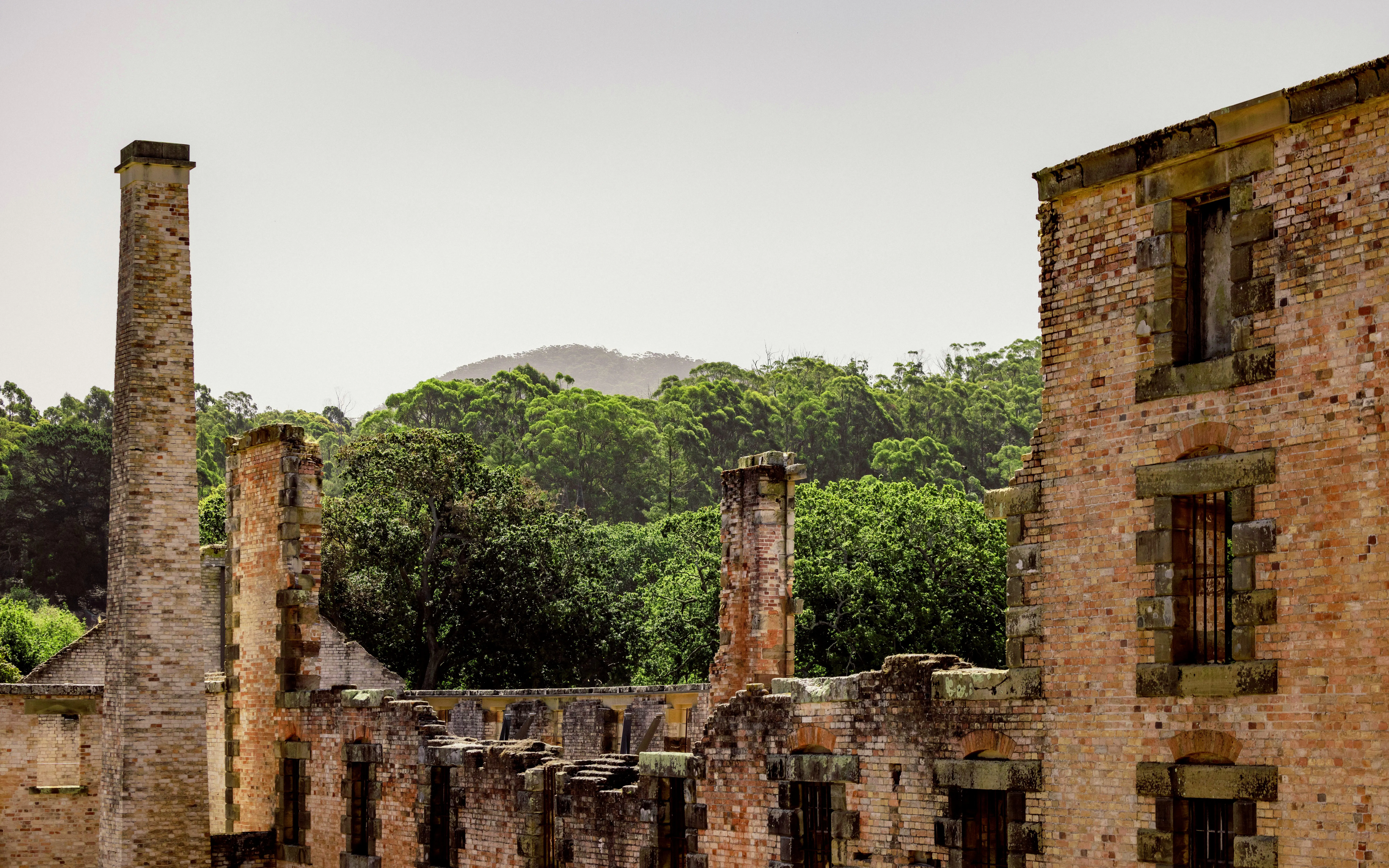 Port Arthur historic ruins with forested Tasman Peninsula backdrop.
