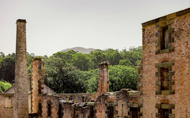Port Arthur historic ruins with forested Tasman Peninsula backdrop.