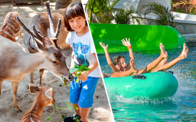 Child feeding deer at Bali Zoo and kids enjoying a water slide at Waterbom Bali.