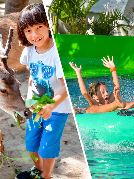 Child feeding deer at Bali Zoo and kids enjoying a water slide at Waterbom Bali.