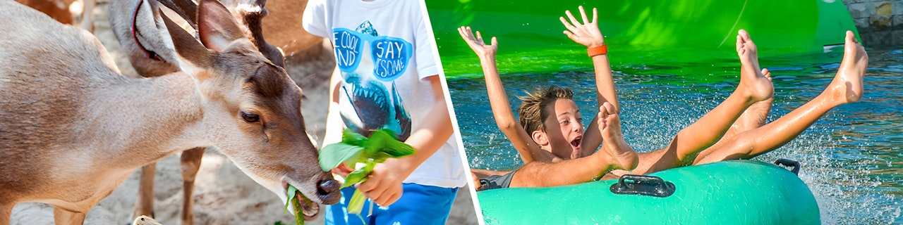 Combo: Biglietti per lo zoo di Bali e il Waterbom Bali