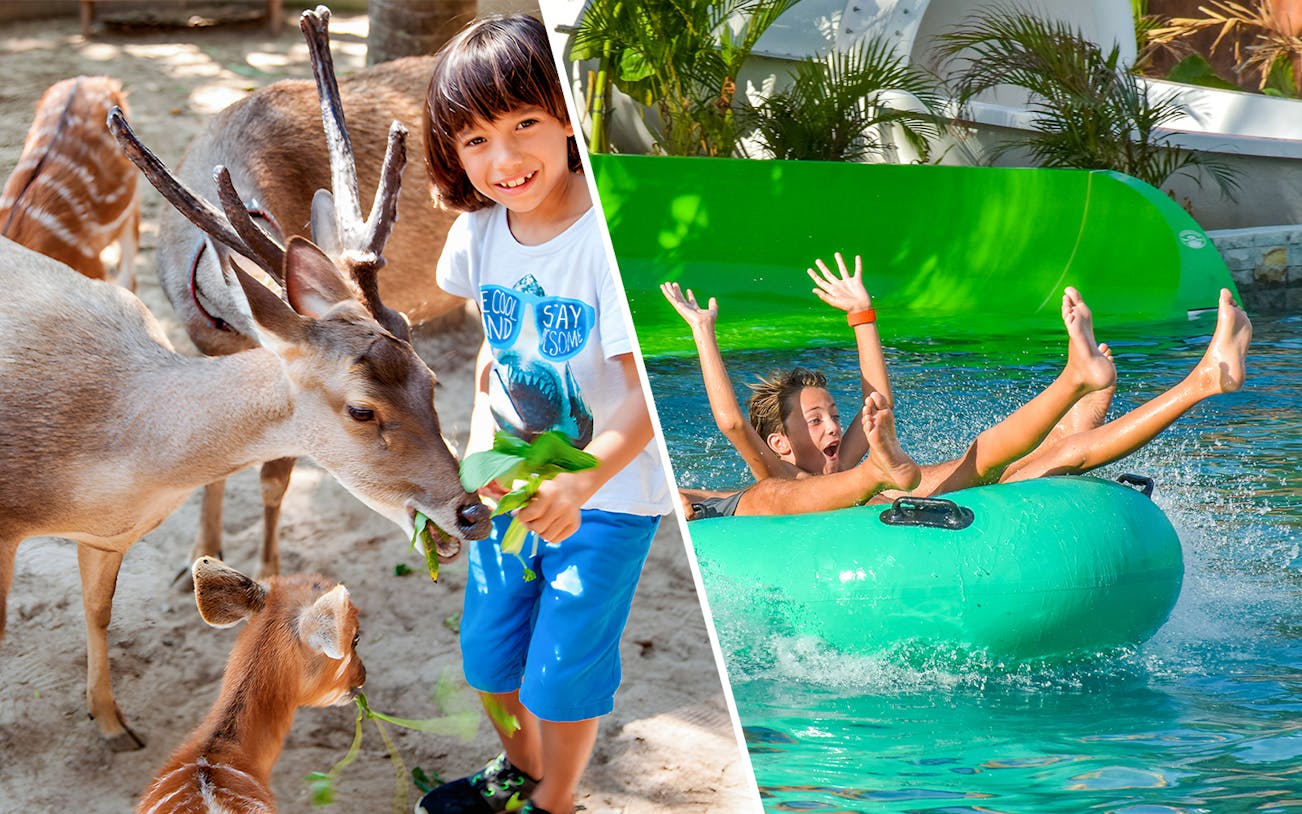 Child feeding deer at Bali Zoo and kids enjoying a water slide at Waterbom Bali.