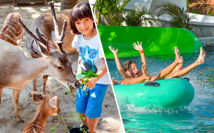 Child feeding deer at Bali Zoo and kids enjoying a water slide at Waterbom Bali.