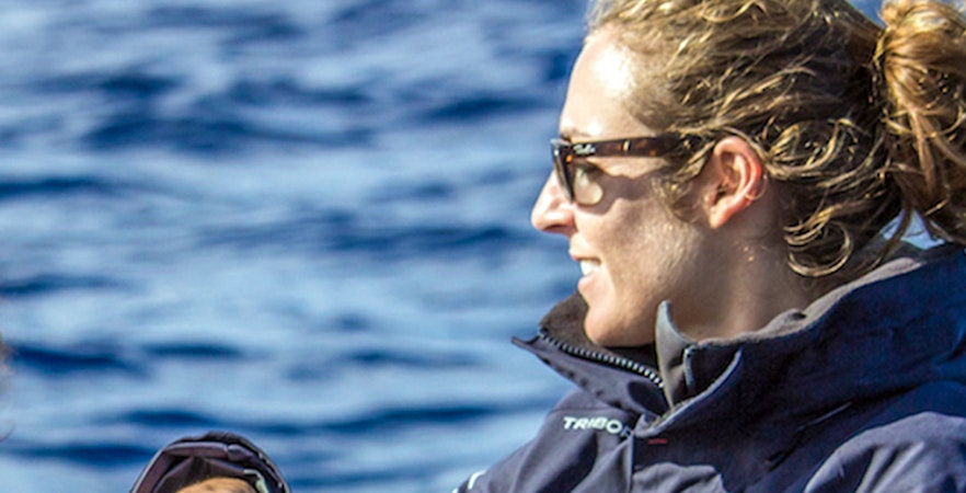 Azores Whale Watching