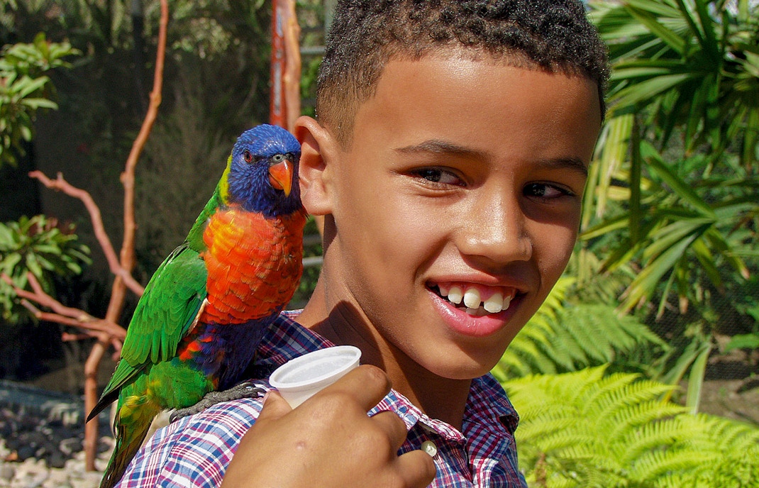 Lorikeet Forest at Aquarium of the Pacific