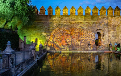 Alcazar of Cordoba garden wall with leopard projection at night.