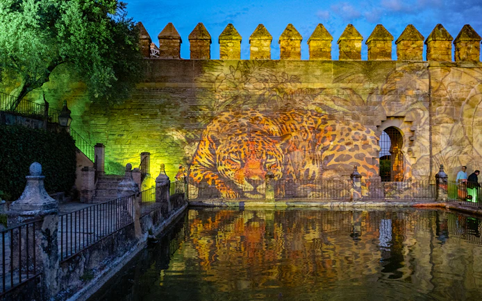 Alcazar of Cordoba garden wall with leopard projection at night.