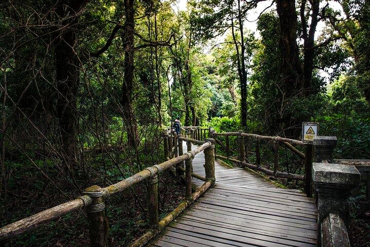 chiang mai - doi inthanon full day tour-2