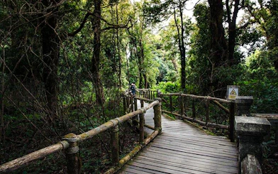 From Chiang Mai: Doi Inthanon National Park Small-Group Day Trip