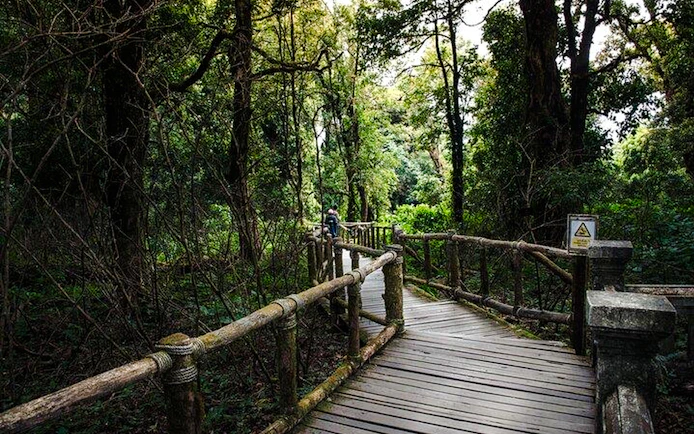 From Chiang Mai: Doi Inthanon National Park Small-Group Day Trip