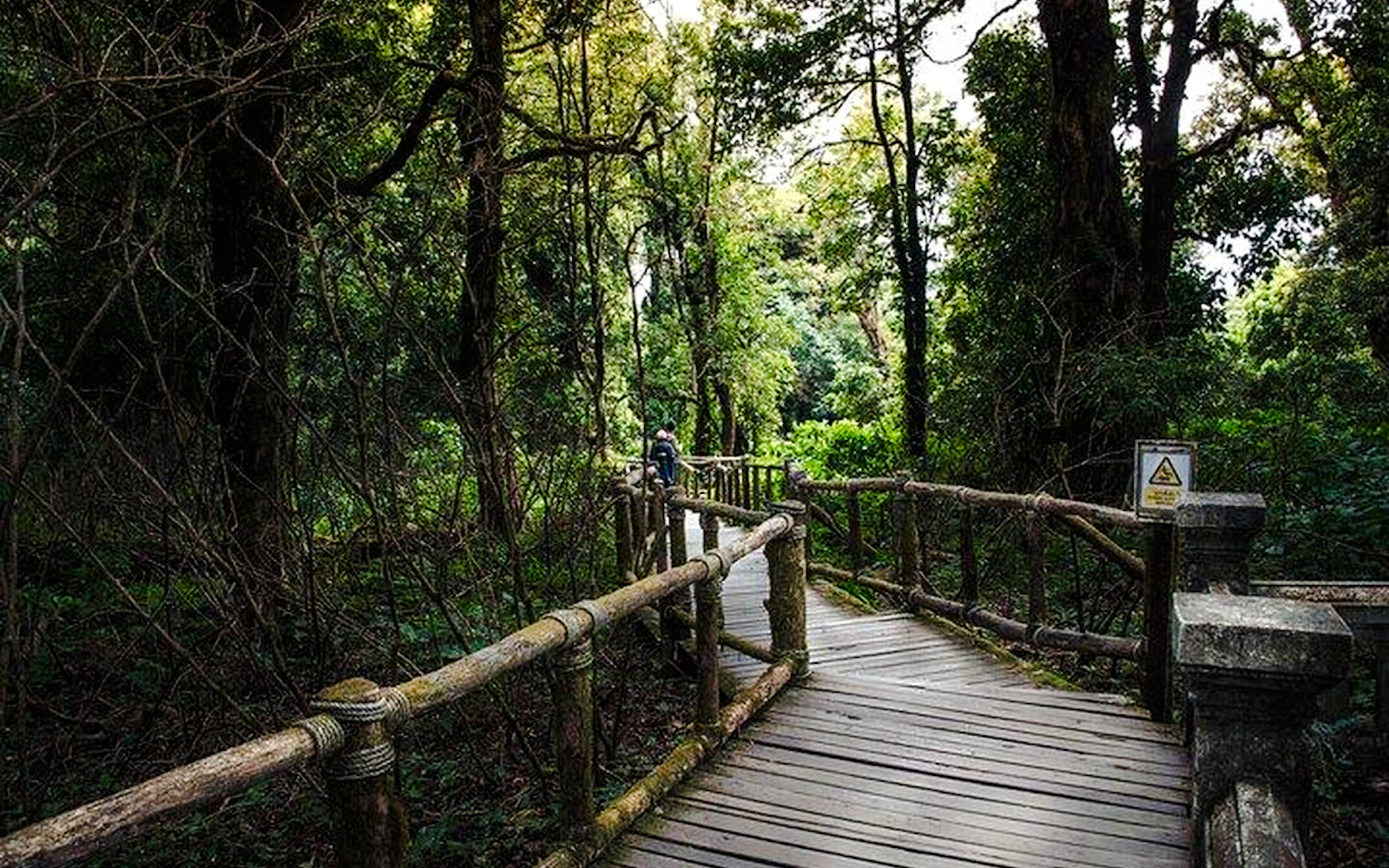 From Chiang Mai: Doi Inthanon National Park Small-Group Day Trip Image 2