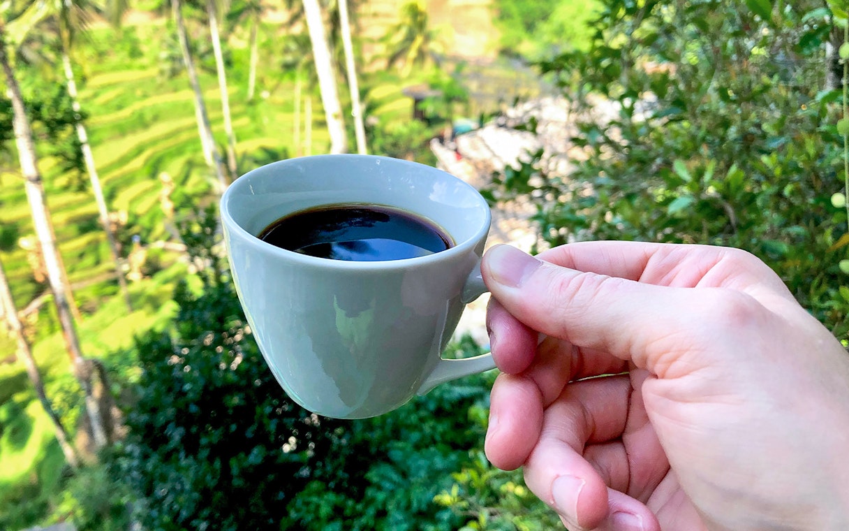 Hand holding a cup of coffee with a view of lush green rice terraces.