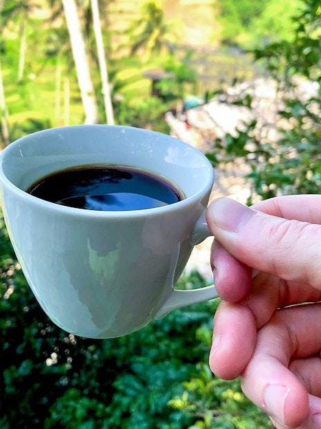 Hand holding a cup of coffee with a view of lush green rice terraces.