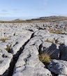 Burren