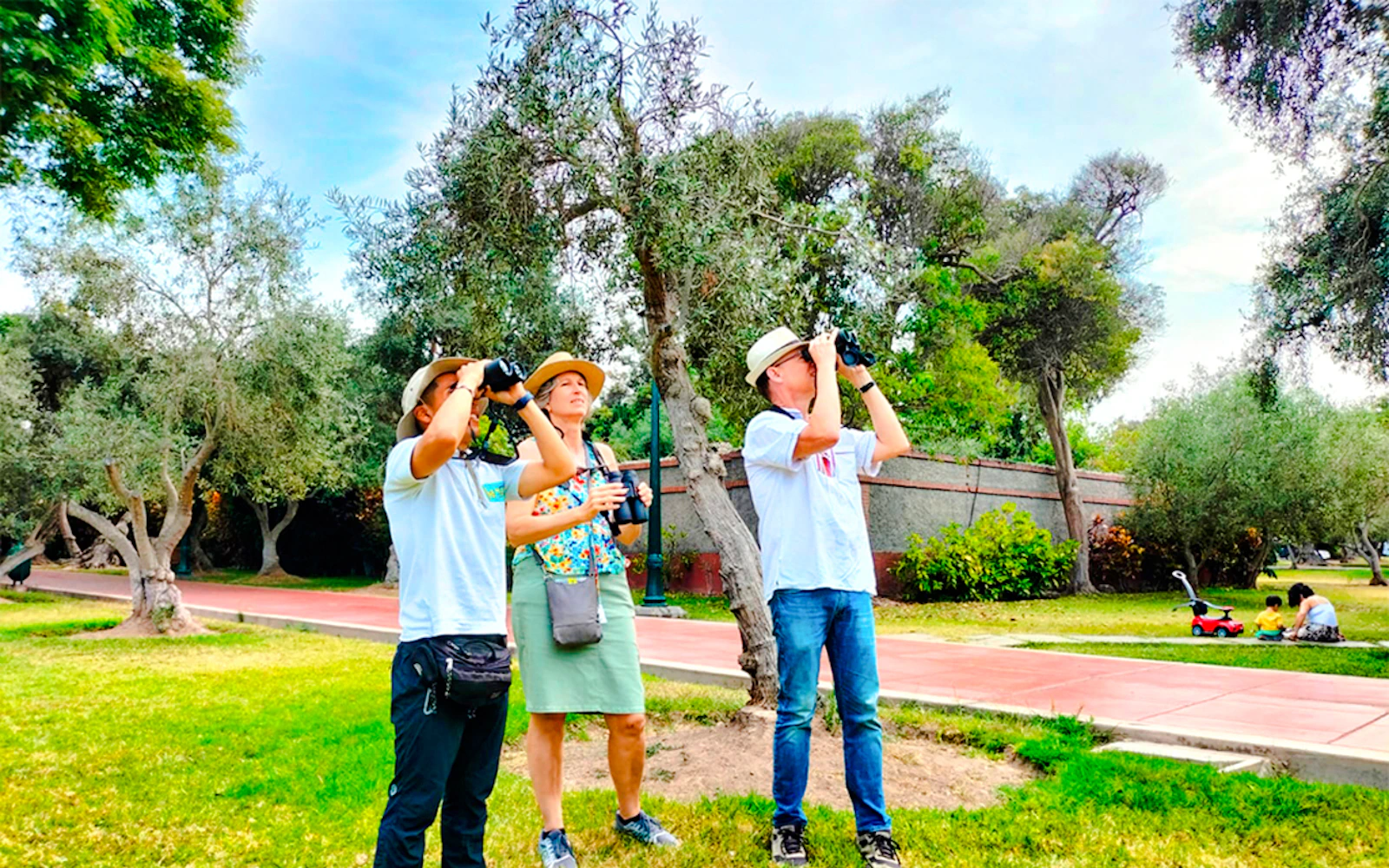 Lima Birdwatching and Urban Parks Guided Tour