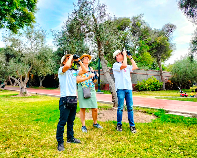 Lima Birdwatching and Urban Parks Guided Tour