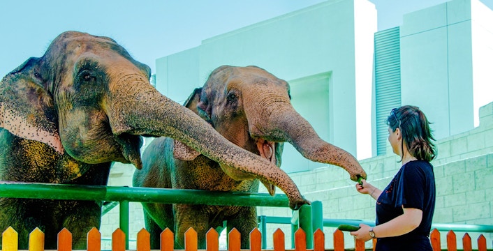 Emirates Park Zoo Tickets