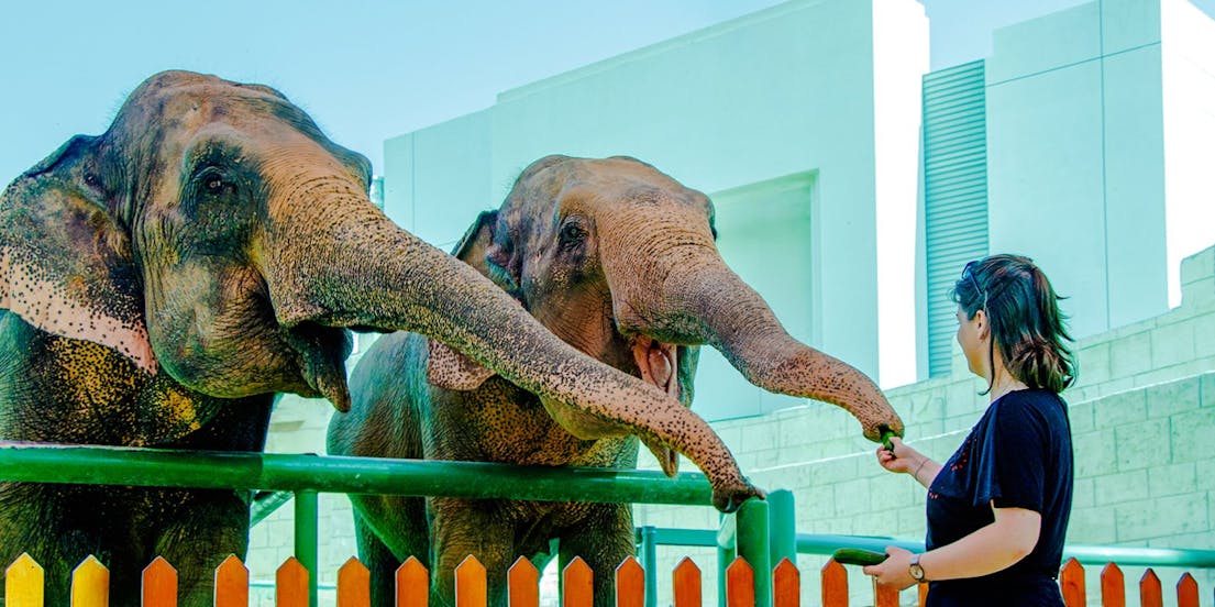 Ingressos Emirates Park Zoo