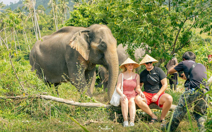 Tourists posing with elephants at Samui Elephant Conservation, Koh Samui.