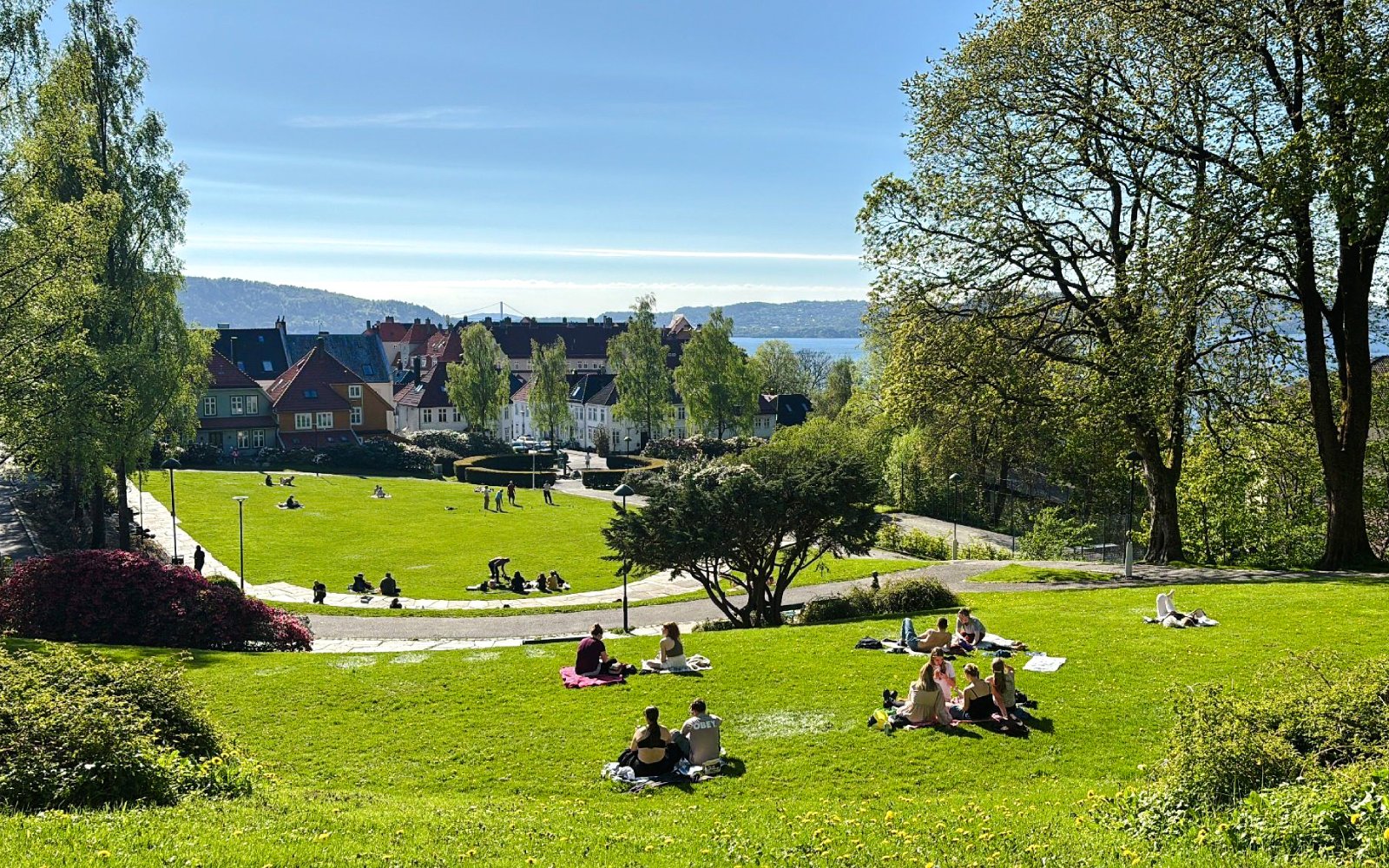 Guests relaxing on a grassy hill in Sandviken village, Norway, with colorful houses and fjord view.