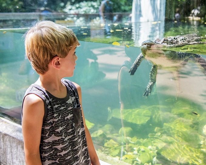 Bronx Zoo Tickets