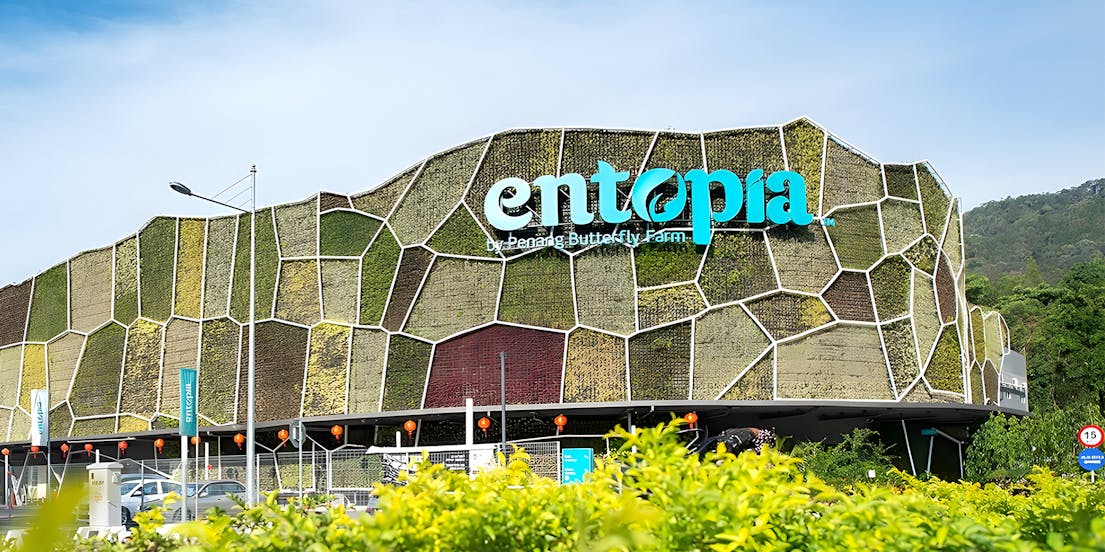 Entopia da Penang Butterfly Farm